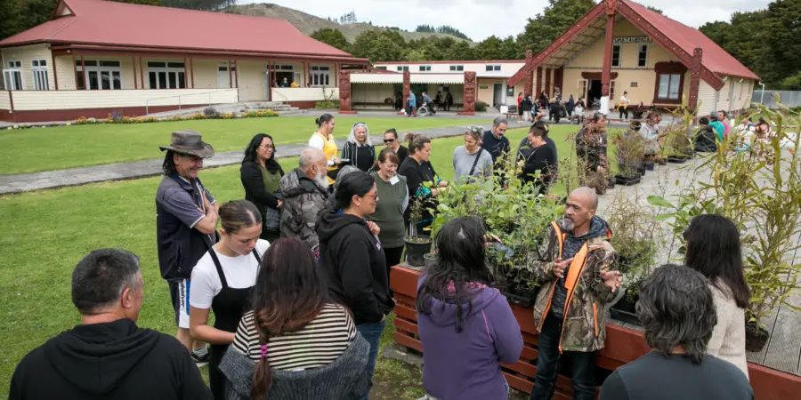 Wānanga Rākau Rongoā Māori